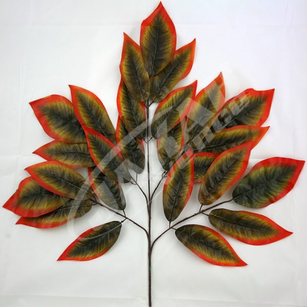 Vetva mango x5 S2845-2