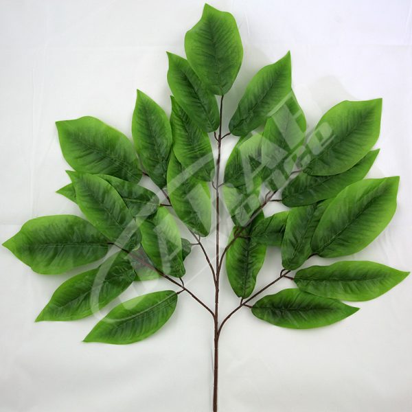 Vetva mango x5 S2845-4