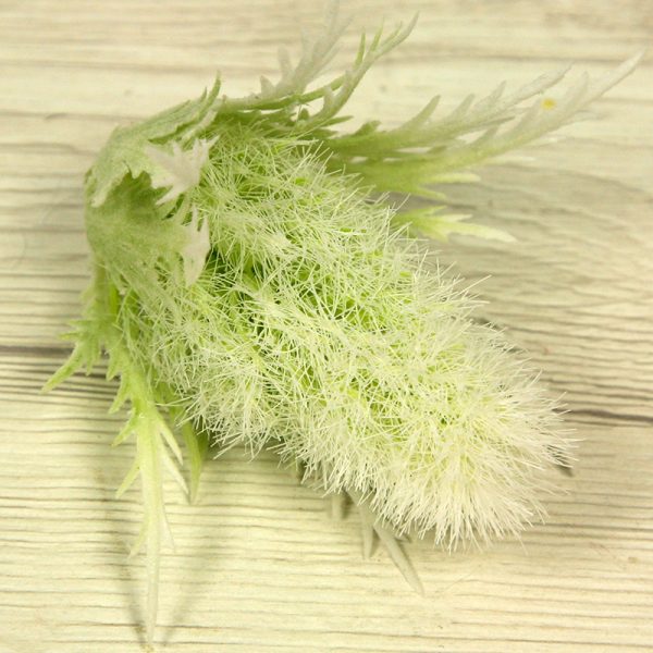 Doplnok-eryngium   YX21242
