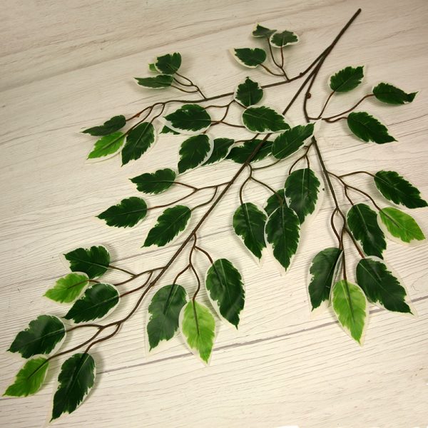 Vetva ficus x3  YX21256