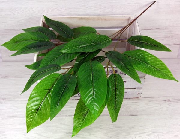 Vetva mango x3 YX21264