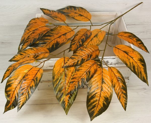 Vetva mango x3 YX21272