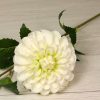 Vetva dália luxusná JX216160-GR