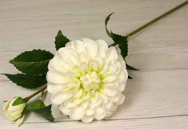 Vetva dália luxusná JX216160-GR