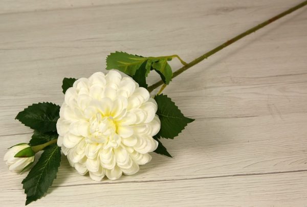 Vetva dália luxusná JX216160-YL