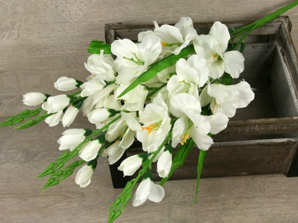 Kytica gladiola x5  JX216154 - Image 5