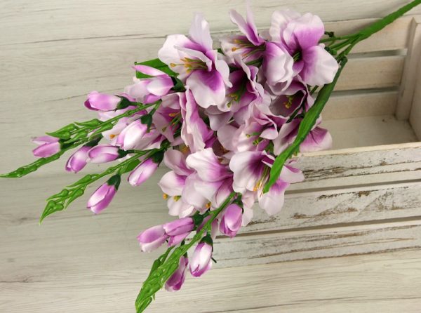 Kytica gladiola x5 JX216154-CR
