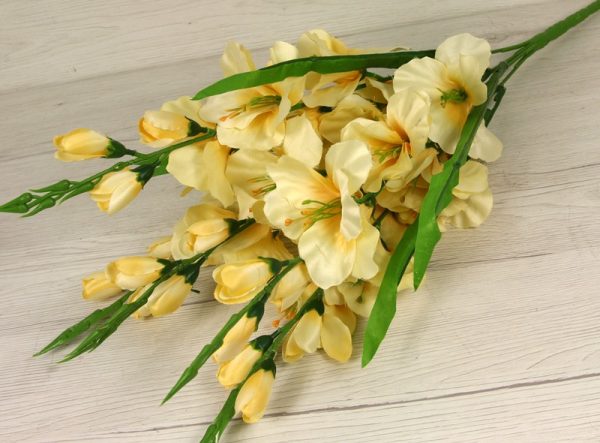 Kytica gladiola x5  JX216154 - Image 3