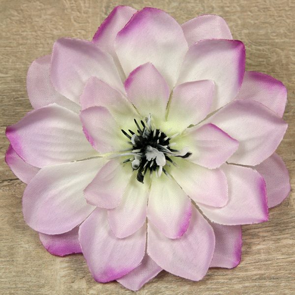 Dália vencová  JX1652 - Image 3