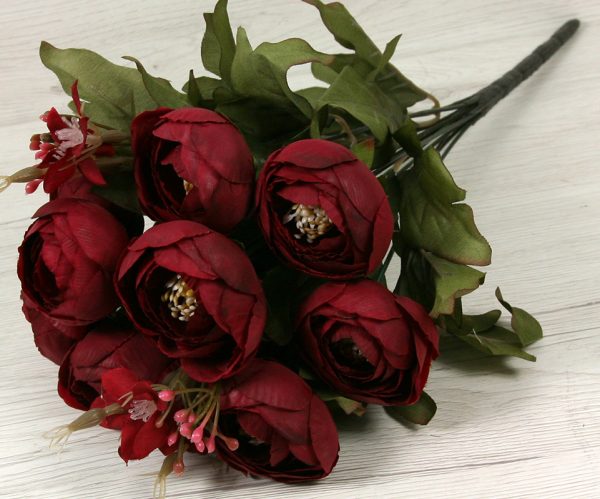 Kytica ranunculus x12  C032A
