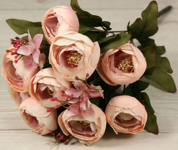 Kytica ranunculus x12  C032A - Image 3