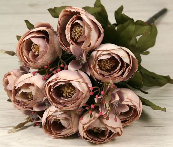 Kytica ranunculus x12  C032A - Image 2