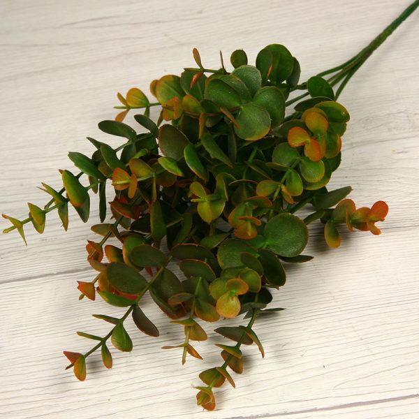 Trs eukalyptus x5  JX18326-BR