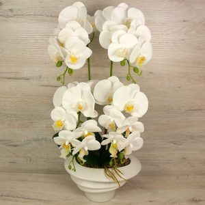 Orchidea v črepníku x4  F94