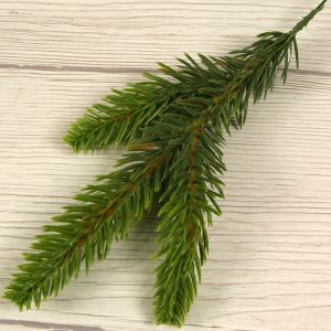 Smreková vetvička 3D D-9