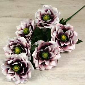 Vetva lekno x6  JXL21659